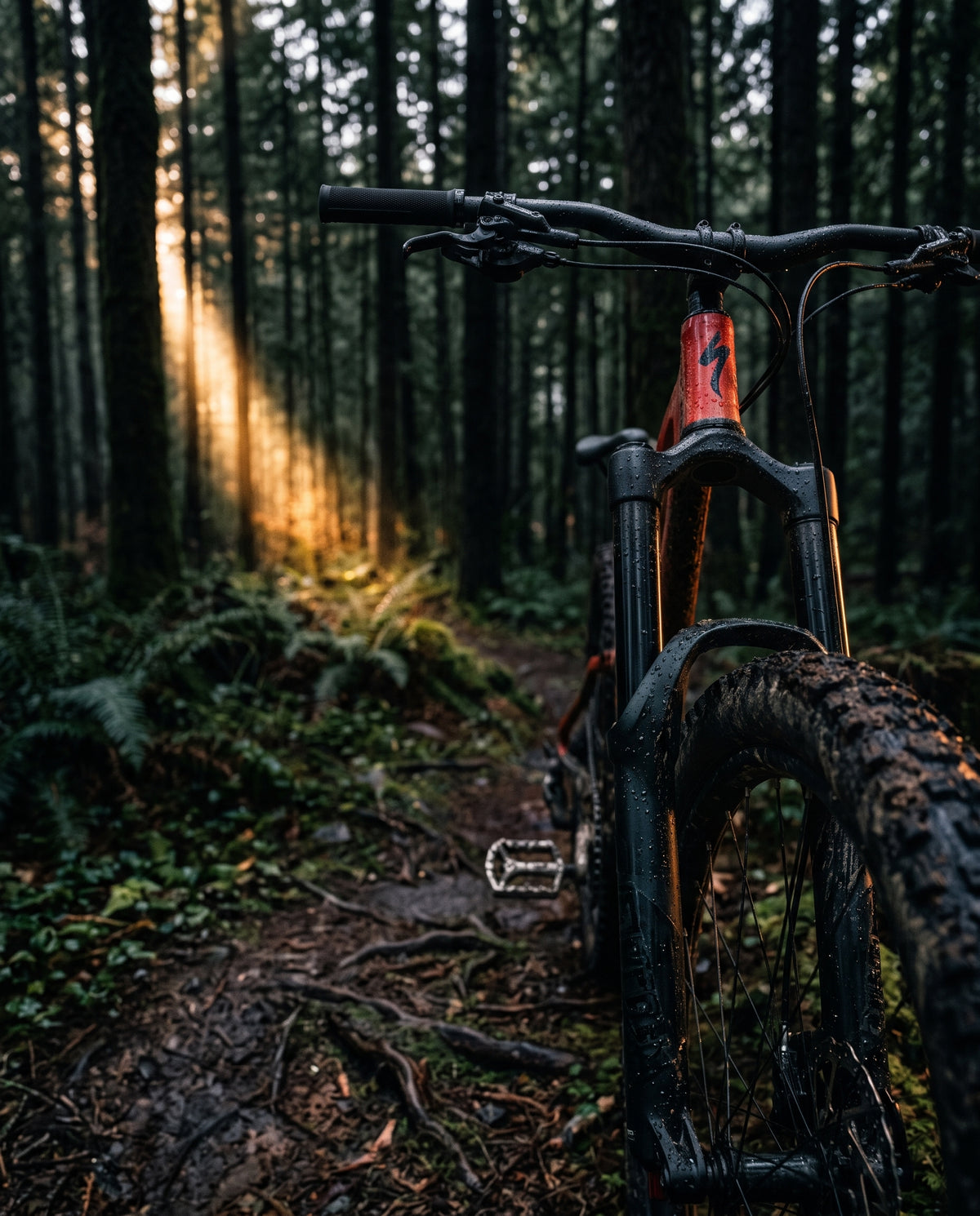 Ride hard. Stop wincing at every rock strike.